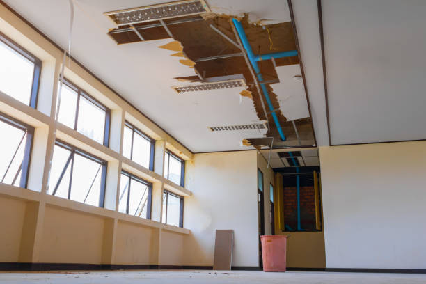 Best Commercial water damage restoration  in Dahlone, GA