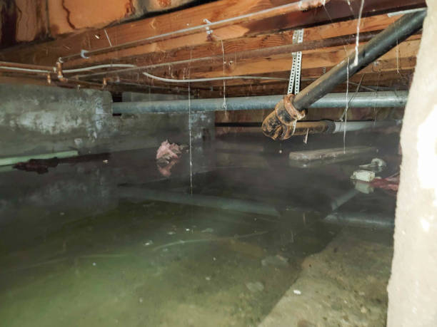 Best Commercial water damage restoration  in Dahlone, GA