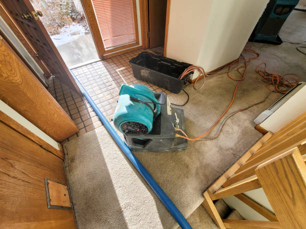 Best Mold removal after water damage  in Dahlone, GA