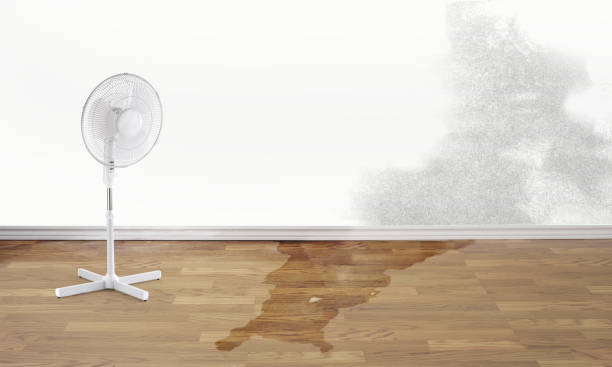 Best Flooded house restoration  in Dahlone, GA