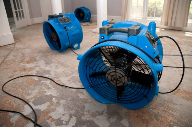  Dahlone, GA Water damage restoration Pros