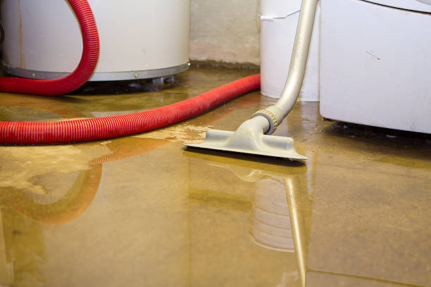 Best Water damage contractors near me  in Dahlone, GA