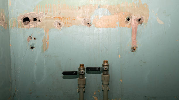 Best Water damage contractors near me  in Dahlone, GA