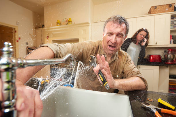 Best Professional water damage repair  in Dahlone, GA